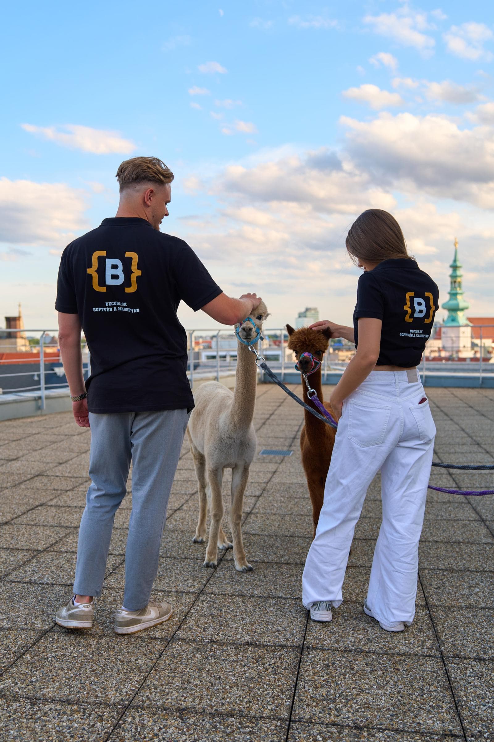 Das BeCode-Team